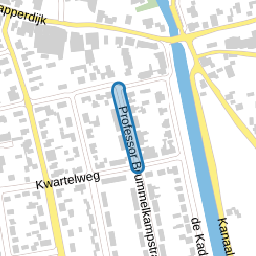 Professor Brummelkampstraat