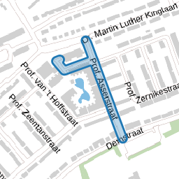 Prof. Asserstraat