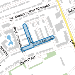 Prof. Zernikestraat