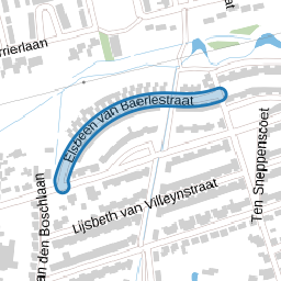 Elsbeen van Baerlestraat