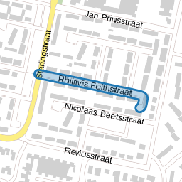 Rhijnvis Feithstraat