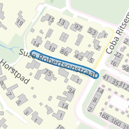 Suze Robertsonstraat