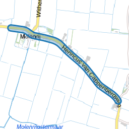 Henricus van Cappenbergweg