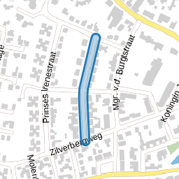 Koningin Wilhelminastraat