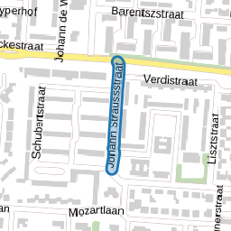 Johann Straussstraat