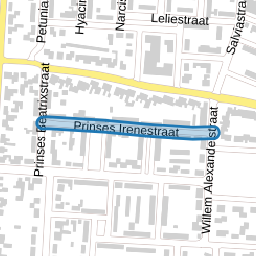Prinses Irenestraat