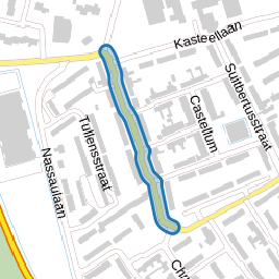 Everardus van Gochstraat