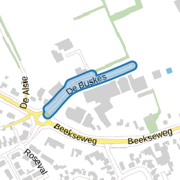 De Buskes