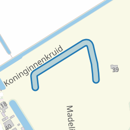 Koninginnenkruid