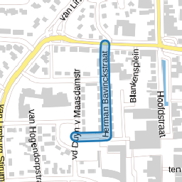 Herman Bavinckstraat