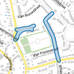 Van Blitterswijckstraat