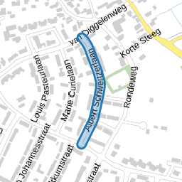 Albert Schweitzerlaan