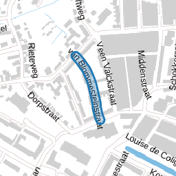 van Blommesteinstraat