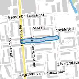 Reinier de Graafstraat