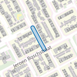 Emmanuel de Wittestraat