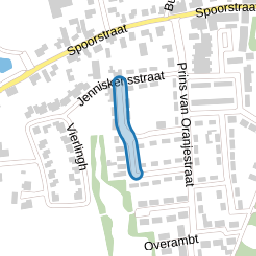 Anna van Burenstraat