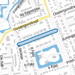 Dokter Schoustrastrjitte