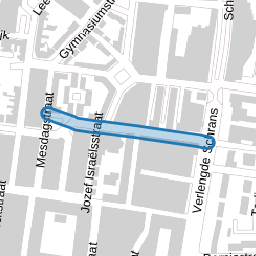 Carel Fabritiusstraat