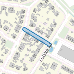 Regnerus Falcostrjitte