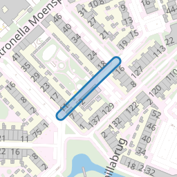 Carry van Bruggenpad