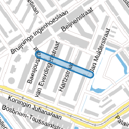 van Slingelandtstraat