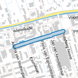 Anna van Burenstraat