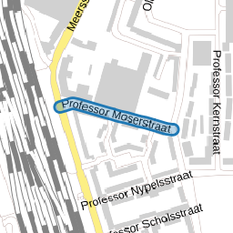 Professor Moserstraat