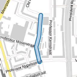 Professor Mullerstraat