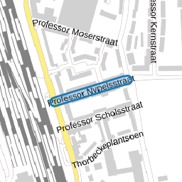 Professor Nypelsstraat