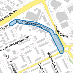 Prof. Oppenheimstraat