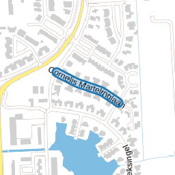 Cornelis Martelinglaan