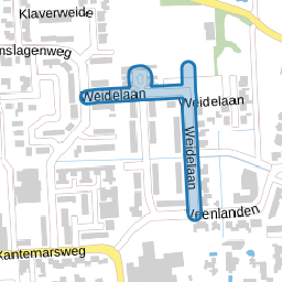 Weidelaan