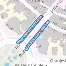 Bisschop Hamerstraat