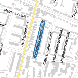 Parelmoervlinderstraat