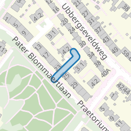 Pater van Ruthstraat