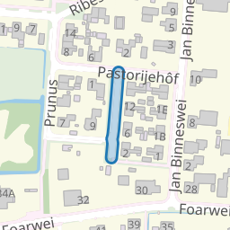 Heine de Bruinstrjitte