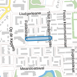 Ds. M.W. Scheltemastraat