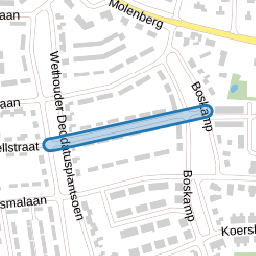 Burgemeester Borgerstraat