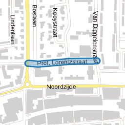 Prof. Lorentzstraat