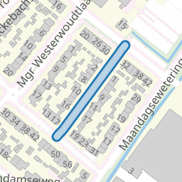 Prof. van Eijsingastraat