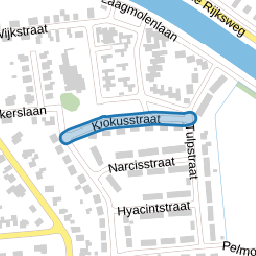 Krokusstraat