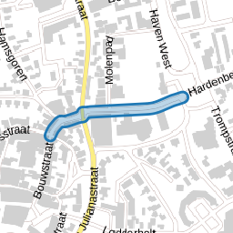 dr.A.C.van Raaltestraat