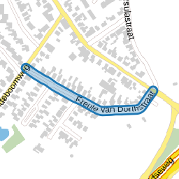 Freule van Dorthstraat