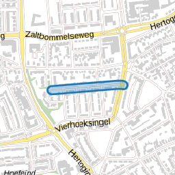 Hertog Hendrik I-straat