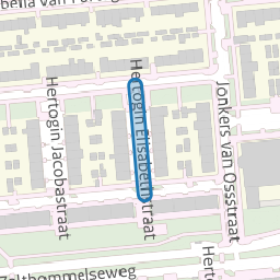 Hertogin Elisabethstraat