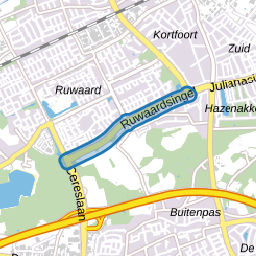 Ruwaardsingel