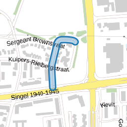 Theodorus Dobbestraat