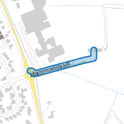 Mammoetstraat