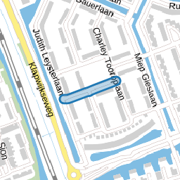 Anna van Schuurmanstraat