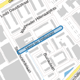 Henri ter Hallsingel